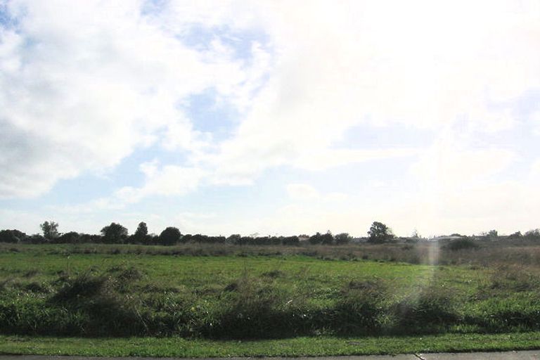 Photo of property in 223 Tremaine Avenue, Highbury, Palmerston North, 4412