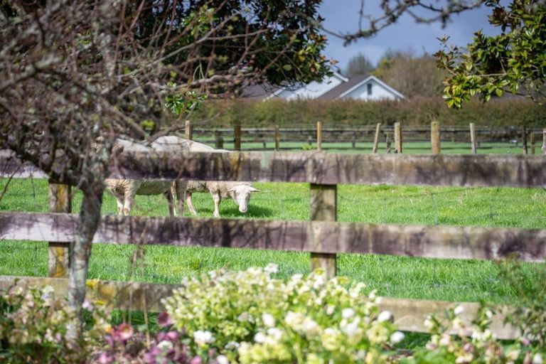 Photo of property in 67d Davison Road, Newstead, Hamilton, 3286