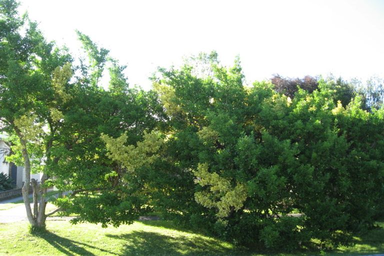 Photo of property in 20 Dominion Road, Te Hapara, Gisborne, 4010