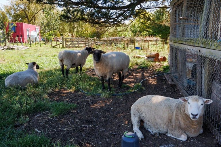 Photo of property in 61 Pohangina Road, Ashhurst, Palmerston North, 4470