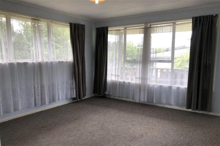Photo of property in 61 Harrington Road, Henderson, Auckland, 0610