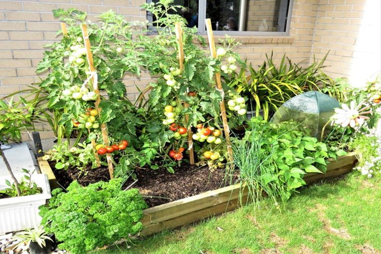 Photo of property in 13a Mill Street, Westport, 7825