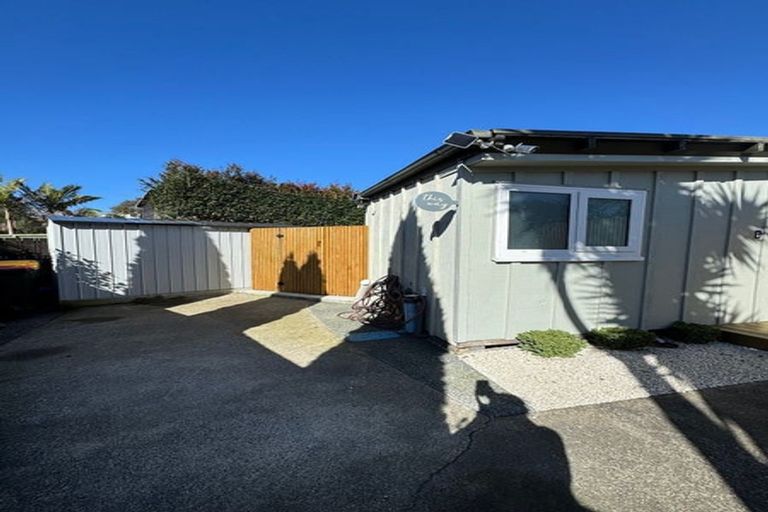 Photo of property in 55 Sunset Road, Totara Vale, Auckland, 0632
