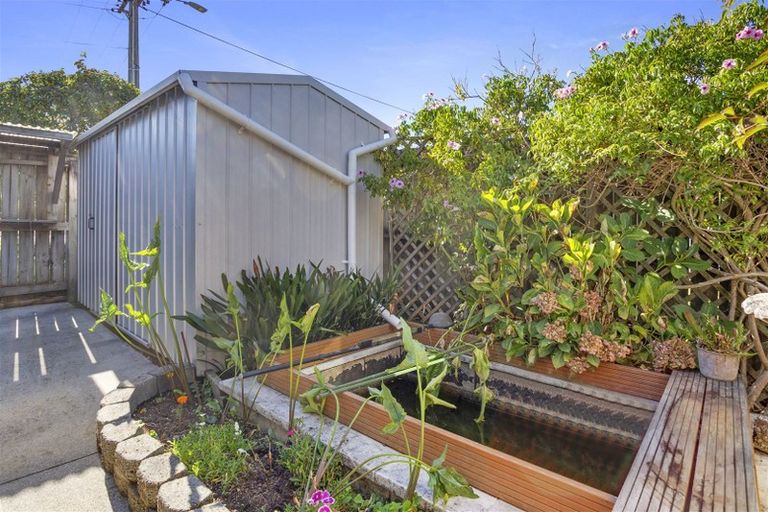 Photo of property in 3unit Dulcie Street, Paeroa, 3600