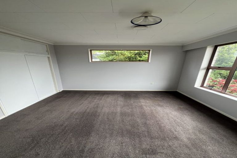 Photo of property in 1a Mccrea Street, Mornington, Dunedin, 9011