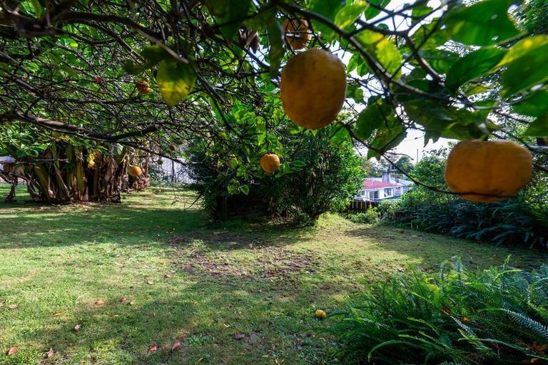 Photo of property in 18 Manson Street, Gate Pa, Tauranga, 3112