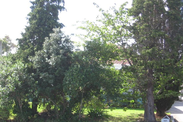 Photo of property in 247 Great North Road, Henderson, Auckland, 0612