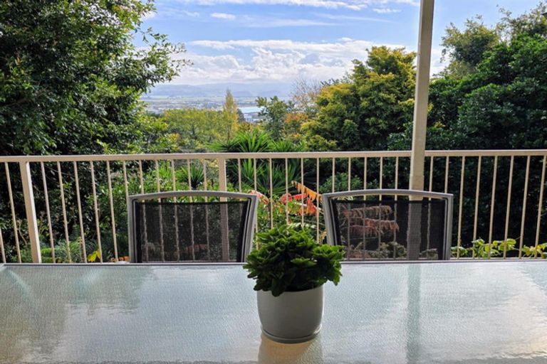 Photo of property in 2 Coleman Terrace, Hospital Hill, Napier, 4110