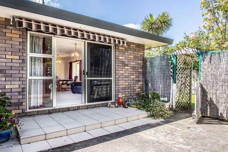 Photo of property in 16b Manchester Street, Levin, 5510