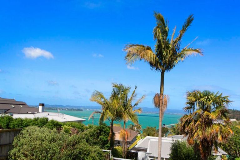 Photo of property in 24 Palmerston Road, Birkenhead, Auckland, 0626