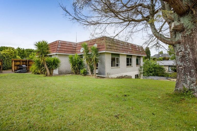 Photo of property in 19 Tybalt Street, Stratford, 4332