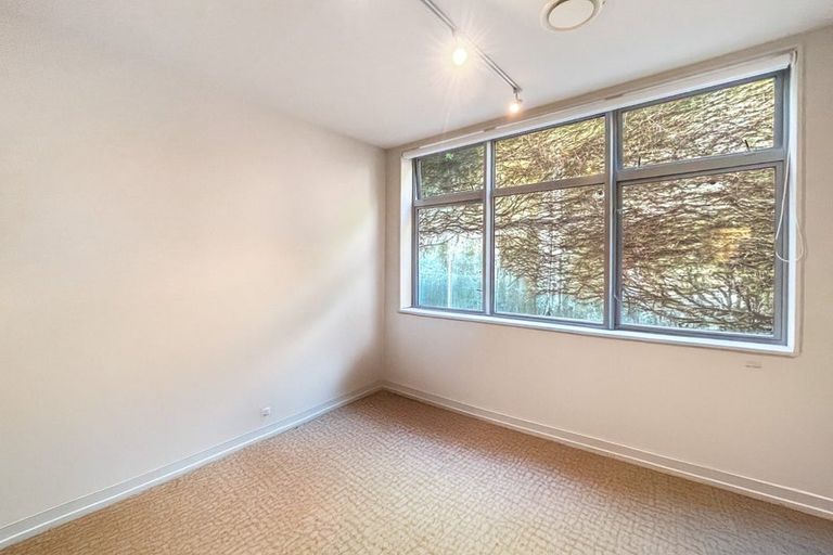 Photo of property in Revolucion Apartments, 207/28s Torrens Terrace, Mount Cook, Wellington, 6011