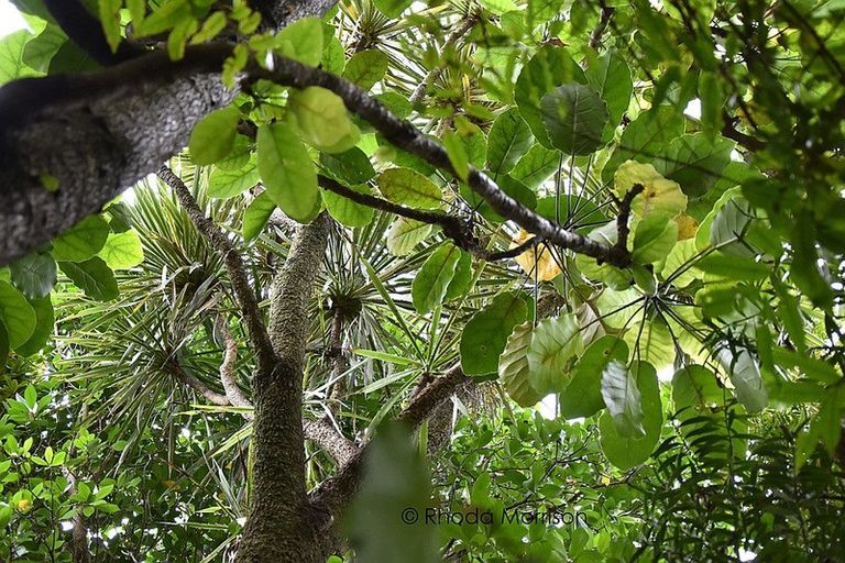 Photo of property in 45 Gorge Road, Maungaturoto, 0520