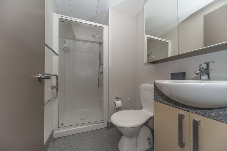 Photo of property in Dual Apartments, 108/142u Vivian Street, Te Aro, Wellington, 6011