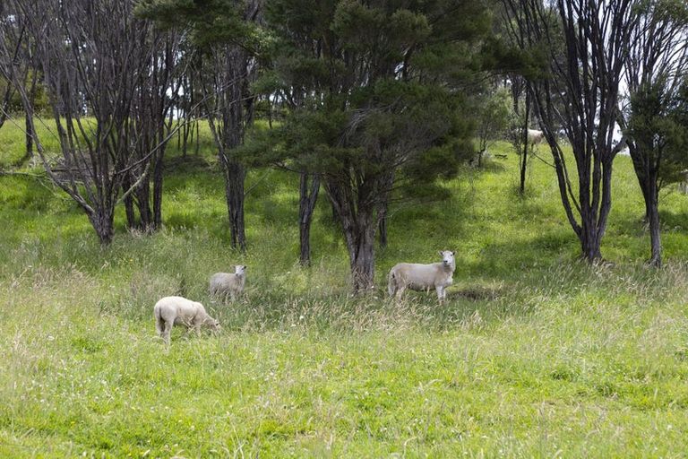 Photo of property in 1214 Oruru Road, Peria, Kaitaia, 0482