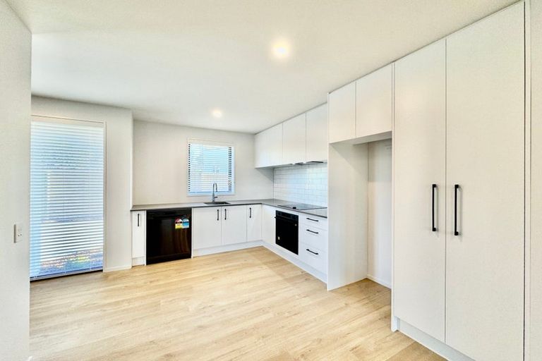 Photo of property in 17 Cooke Street, Somerfield, Christchurch, 8024