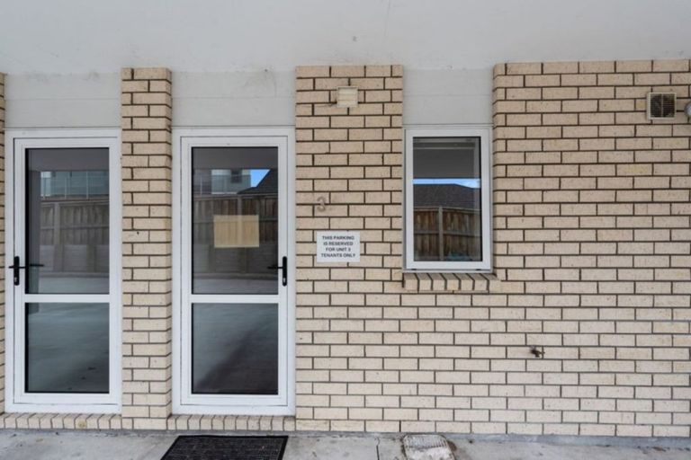 Photo of property in 19u3 Manning Street, Hamilton Central, Hamilton, 3204