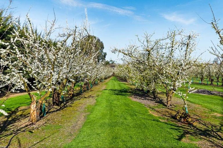 Photo of property in 934 Riverslea Road South, Longlands, Hastings, 4122