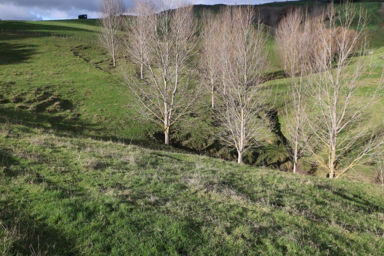 Photo of property in 17 Hill Street, Te Kuiti, 3910