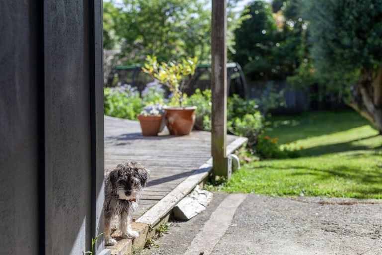 Photo of property in 12 Tui Road, Raumati Beach, Paraparaumu, 5032