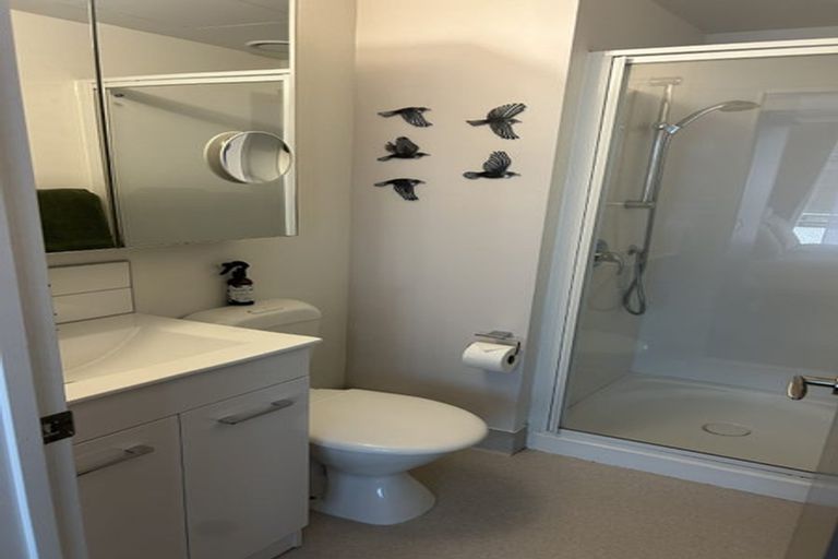Photo of property in Dual Apartments, 108/142u Vivian Street, Te Aro, Wellington, 6011