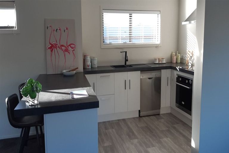 Photo of property in 17 Hosking Drive, Cromwell, 9310