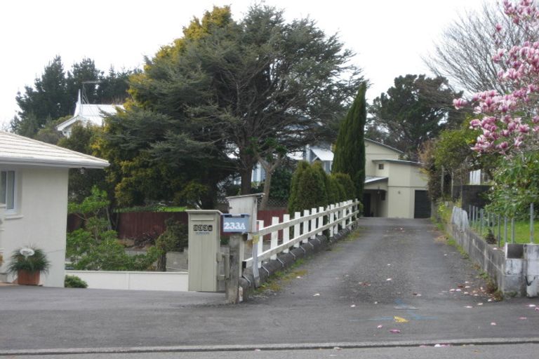 Photo of property in 233a Carrington Street, Vogeltown, New Plymouth, 4310