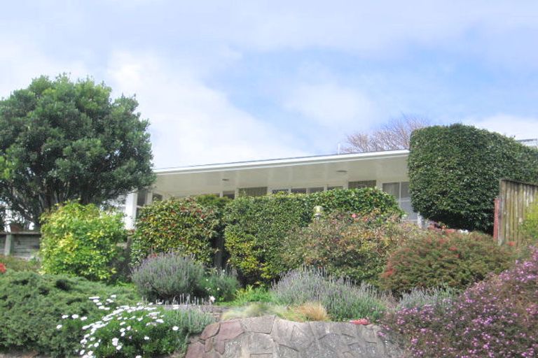 Photo of property in 33 Norton Road, Otumoetai, Tauranga, 3110