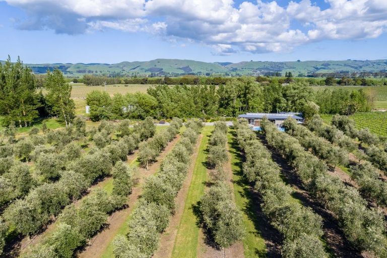 Photo of property in 138 Dakins Road, East Taratahi, Carterton, 5887