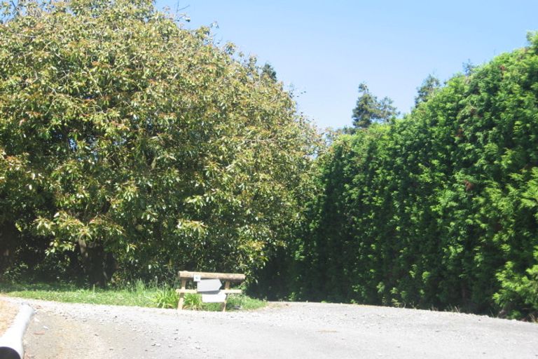 Photo of property in 81 I'anson Road, Minden, Tauranga, 3179