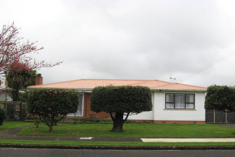 Photo of property in 33 Green Avenue, Levin, 5510