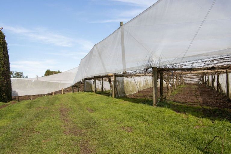 Photo of property in 231 Walford Road, Aongatete, Katikati, 3181