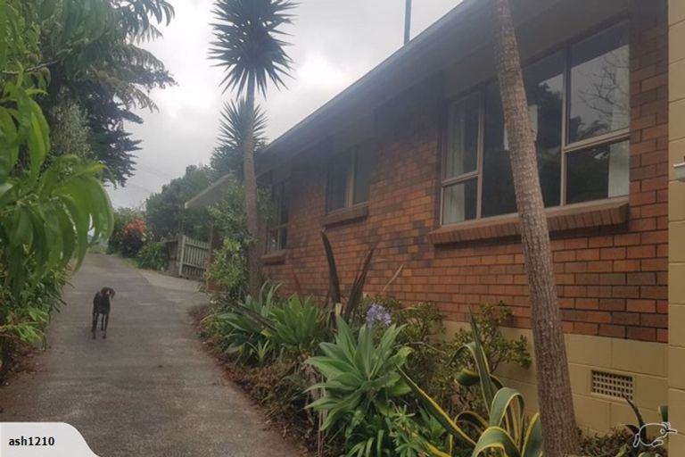 Photo of property in 1/55 Hill Street, Warkworth, 0910