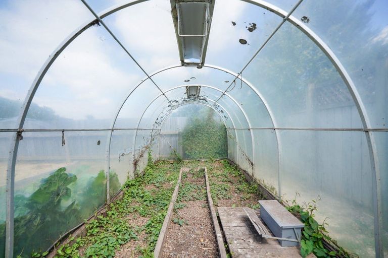 Photo of property in 151 West Street, Hawthorndale, Invercargill, 9810