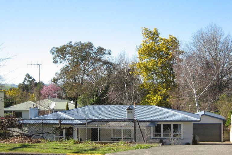 Photo of property in 111 Porangahau Road, Waipukurau, 4200