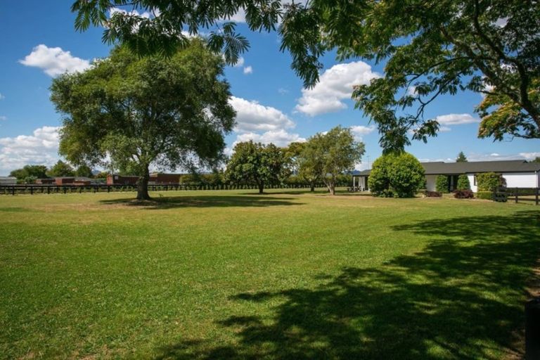 Photo of property in 48 Peake Road, Cambridge, Hamilton, 3283