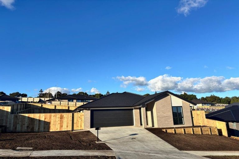 Photo of property in 31 Coptic Terrace, Pokeno, 2402