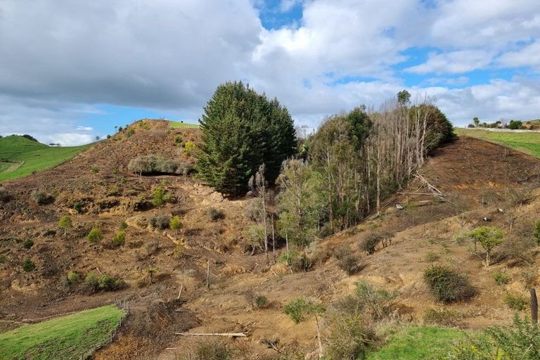 Photo of property in 597 Waitomo Valley Road, Otorohanga, 3977