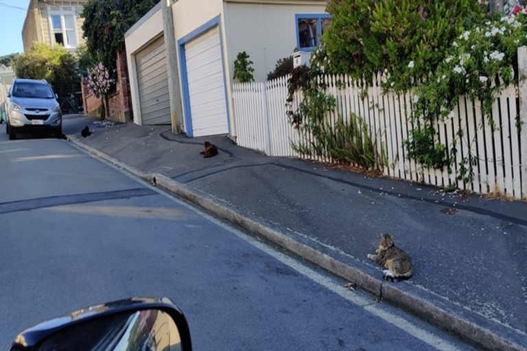 Photo of property in 129 Constable Street, Newtown, Wellington, 6021