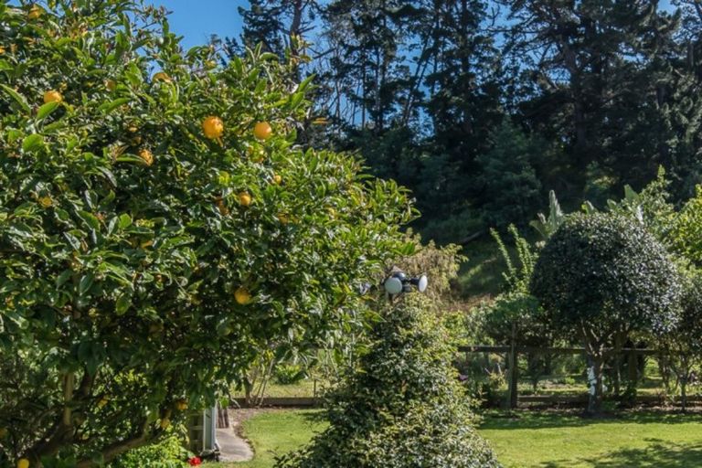 Photo of property in 34 Park Avenue, Waikanae, 5036