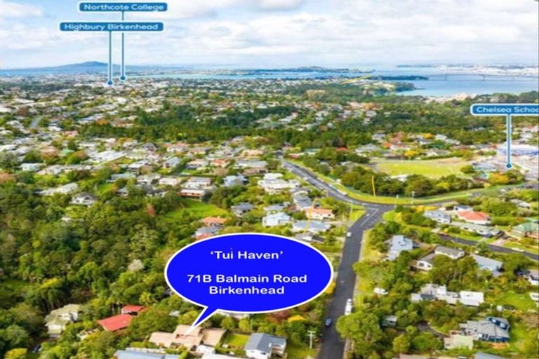 Photo of property in 2/71 Balmain Road, Birkenhead, Auckland, 0626