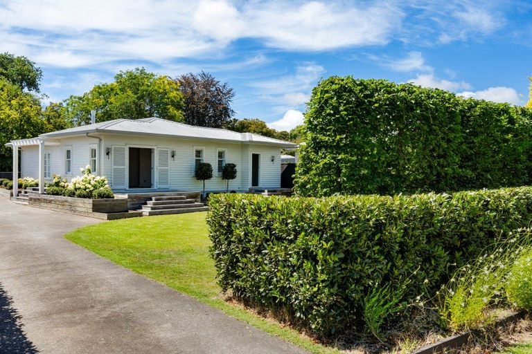 Photo of property in 41 Mchardy Street, Havelock North, 4130