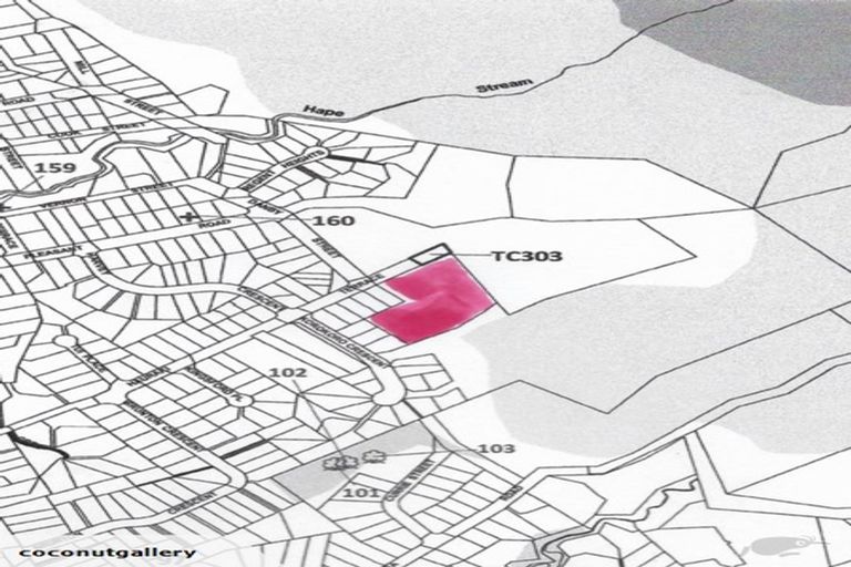 Photo of property in 210 Hauraki Terrace, Thames, 3500