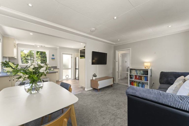 Photo of property in 25 Duckworth Street, Andersons Bay, Dunedin, 9013