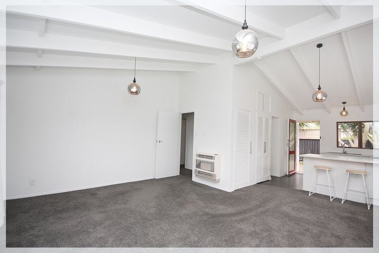 Photo of property in 133 Tiro Tiro Road, Levin, 5510