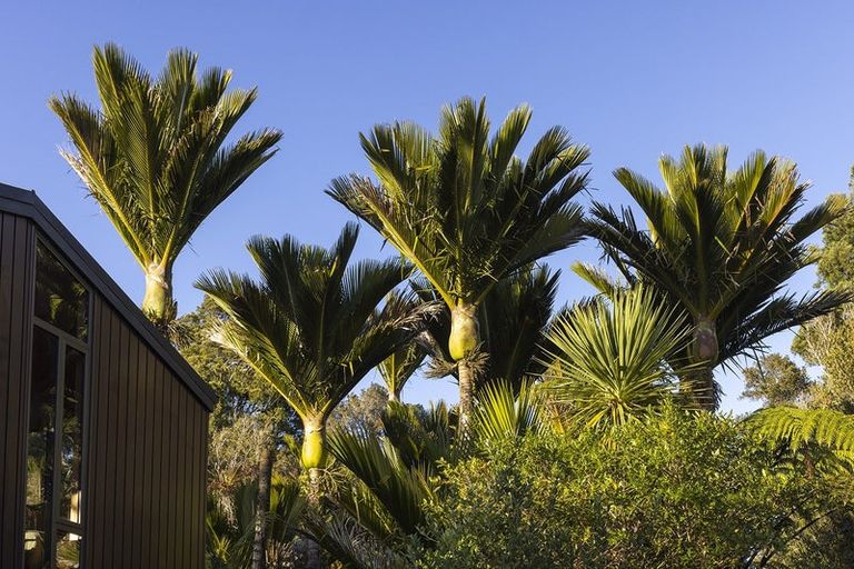 Photo of property in 22 Hartmount Place, Te Miko, Punakaiki, 7871