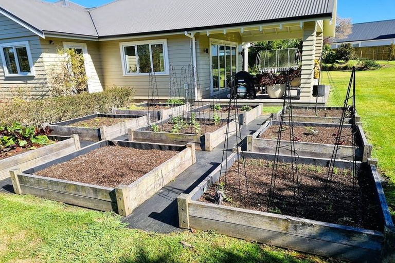 Photo of property in 51r Bradley Avenue, Pyes Pa, Tauranga, 3112