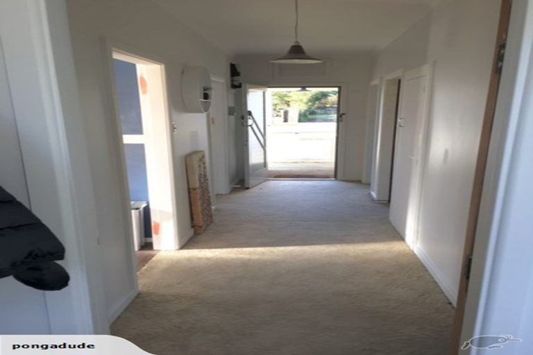 Photo of property in 81 Parker Avenue, Levin, 5510