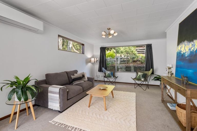 Photo of property in 35b Calder Avenue, North East Valley, Dunedin, 9010
