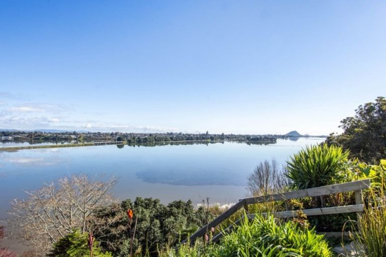 Photo of property in 63 Ririnui Place, Maungatapu, Tauranga, 3112